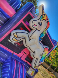 image02011 1769813881 UNICORN COMBO WET DRY