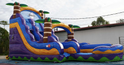 image1201 1736707141 Tropical Dual Lane 18 foot Wet/Dry