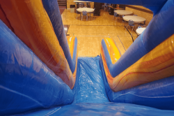 image1201 1775139518 Jungle Climb Dry Only